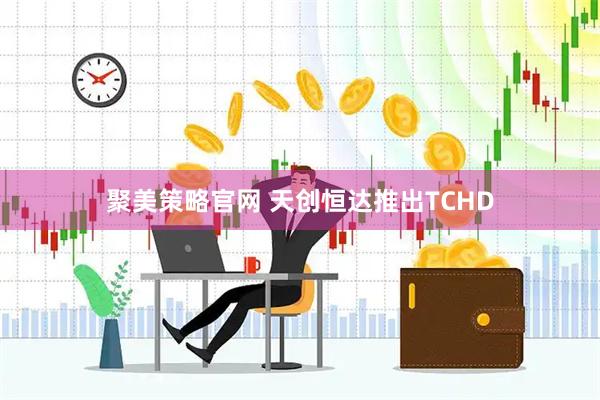 聚美策略官网 天创恒达推出TCHD