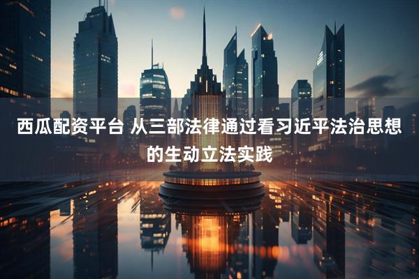 西瓜配资平台 从三部法律通过看习近平法治思想的生动立法实践