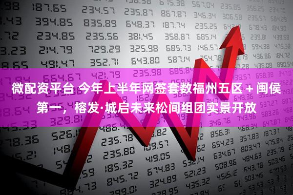 微配资平台 今年上半年网签套数福州五区+闽侯第一,榕发·城启未来松间组团实景开放